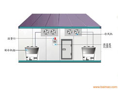 甘肅冷凍冷庫(kù)設(shè)計(jì)與蘭州螺桿式風(fēng)水冷機(jī)推薦 聚焦眾達(dá)制冷設(shè)備公司的專業(yè)服務(wù)